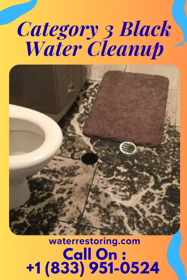 Category 3 Black Water Cleanup in Indianola, OK
